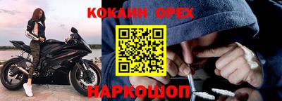 гидра Брянск