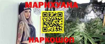гидра Брянск